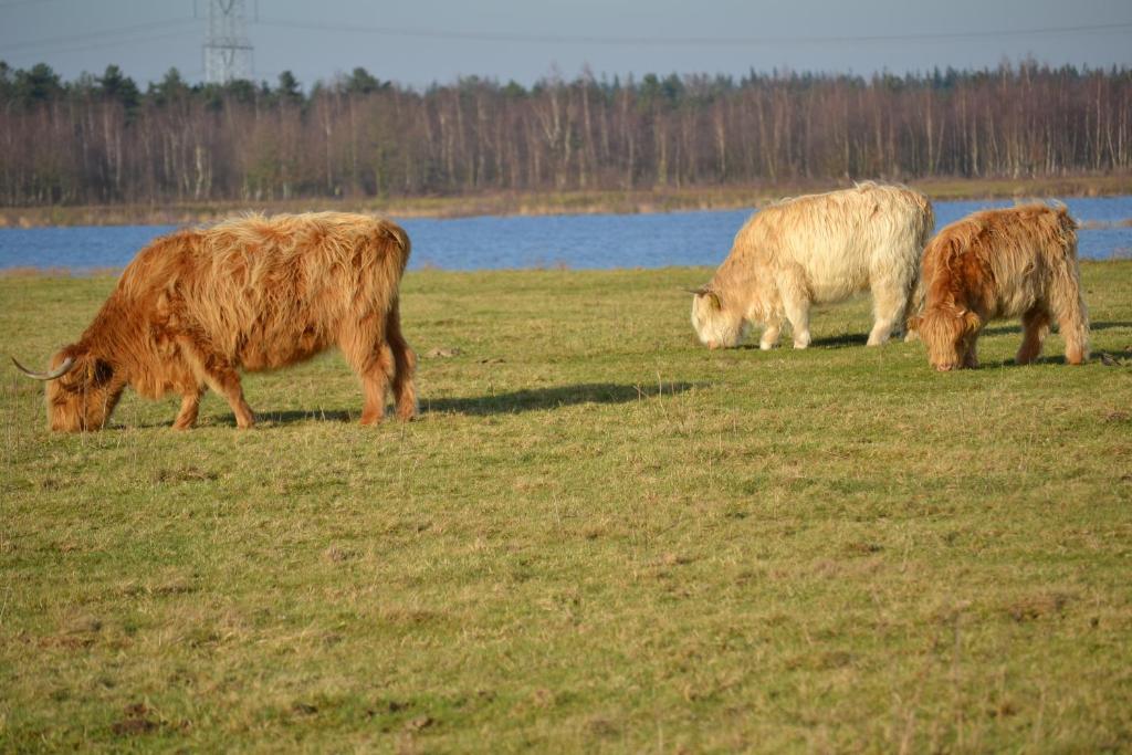 Auberge De Moerse Hoeve Luaran gambar